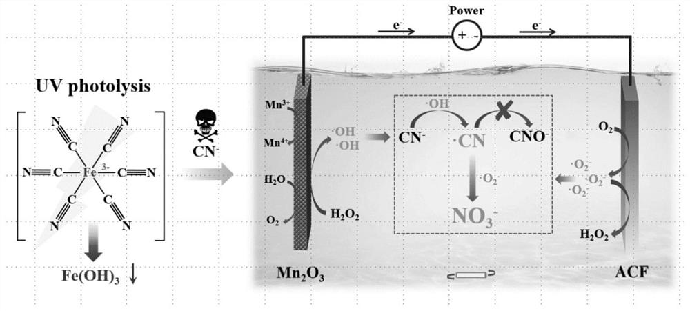 Novel cyanide detoxification method synergistically mediated by superoxide free radicals and hydroxyl free radicals