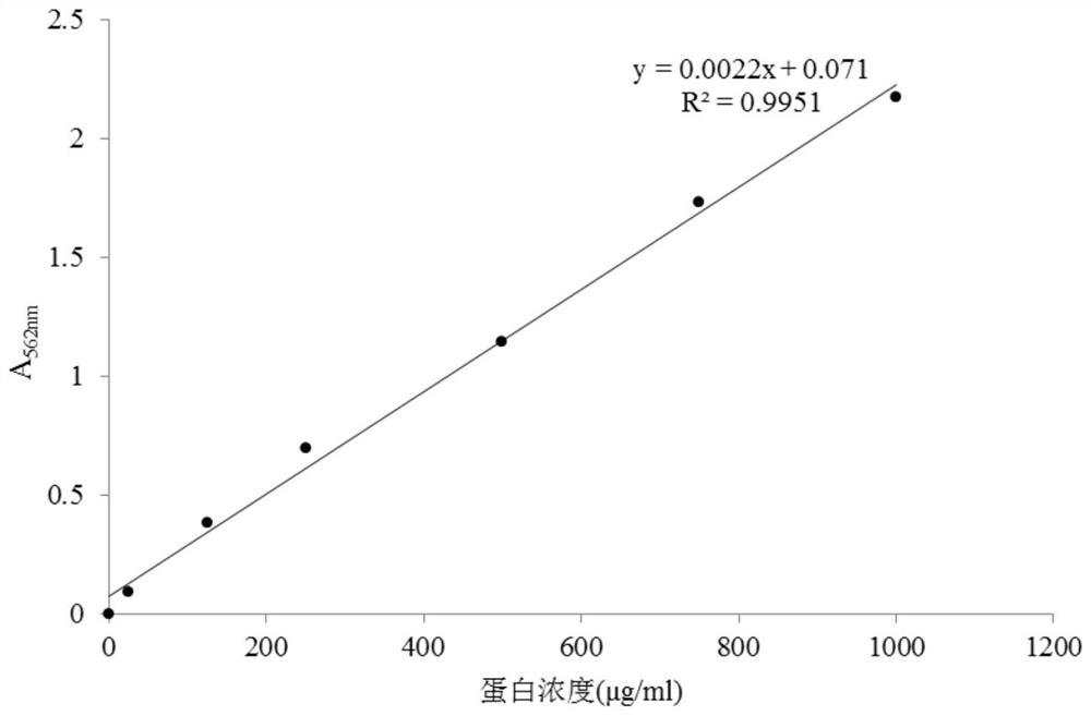 Mutant enzyme of type I pullulanase and its preparation method and application