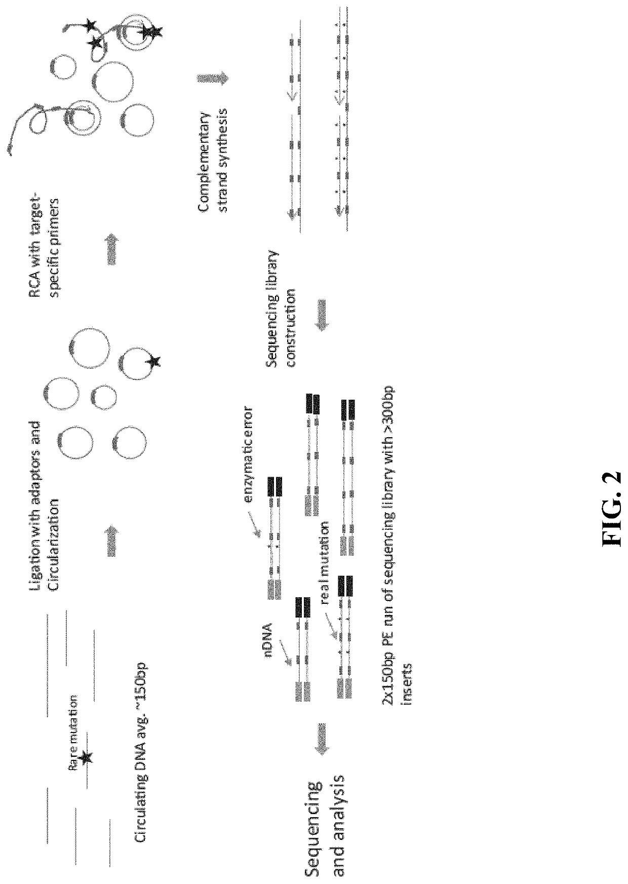 Methods and compositions for enrichment of amplification products