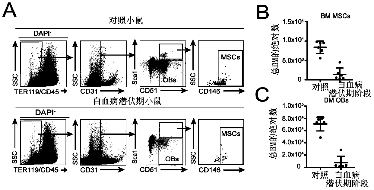 A way to remodel the bone marrow microenvironment