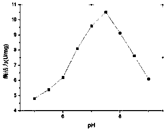 Chitosanase mutant and application thereof