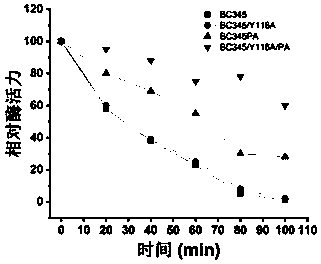 Chitosanase mutant and application thereof