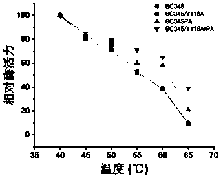 Chitosanase mutant and application thereof