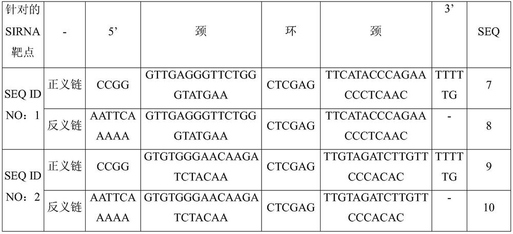 Application of human IGFL3 gene and related product