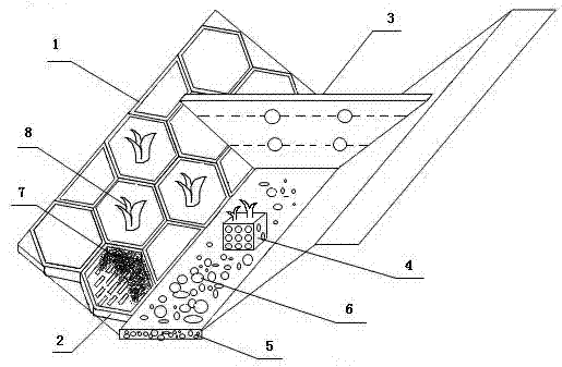 Antiscour ecological trench for interception of phosphorus loss