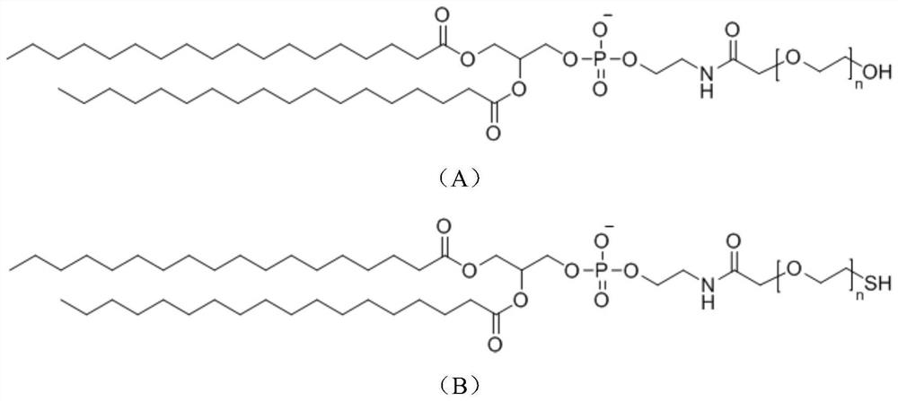 Use of dspe-peg polymers as oral and pulmonary absorption enhancers