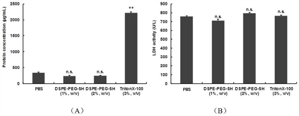 Use of dspe-peg polymers as oral and pulmonary absorption enhancers
