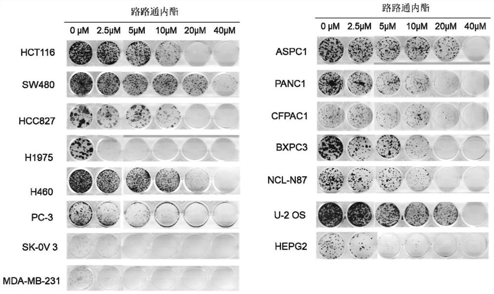 Application of liquidambaric lactone in treatment of cancers