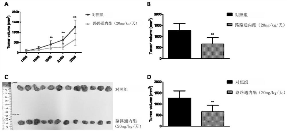 Application of liquidambaric lactone in treatment of cancers