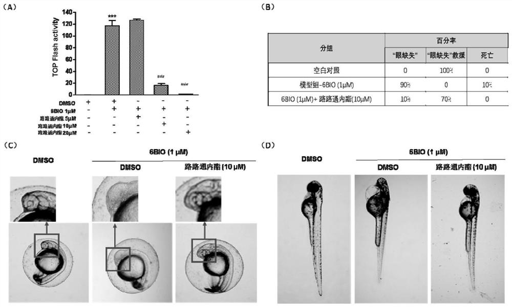 Application of liquidambaric lactone in treatment of cancers