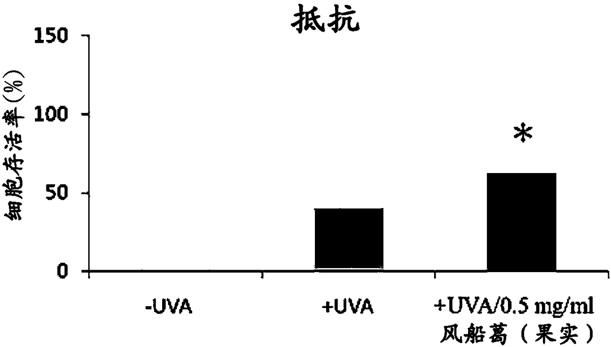 Use of cardiospermum halicacabum extract in the manufacture of a composition for upregulating sod2 expression, promoting skin repair and preventing skin damage by UV light