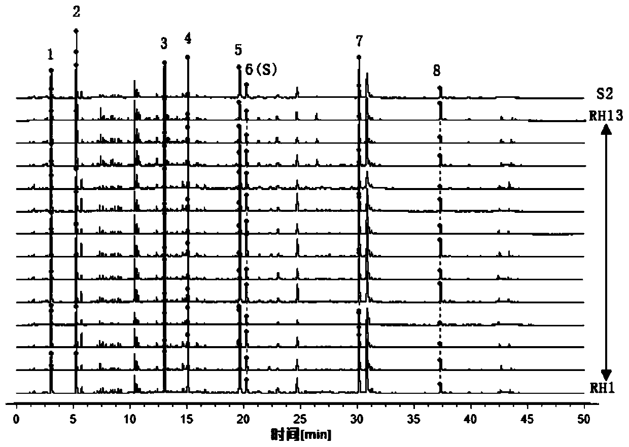 Construction method and application of medicine Terminalia fruit and Terminalia chebula Retz.var.tomentella Kurt. medicinal material specific chromatogram