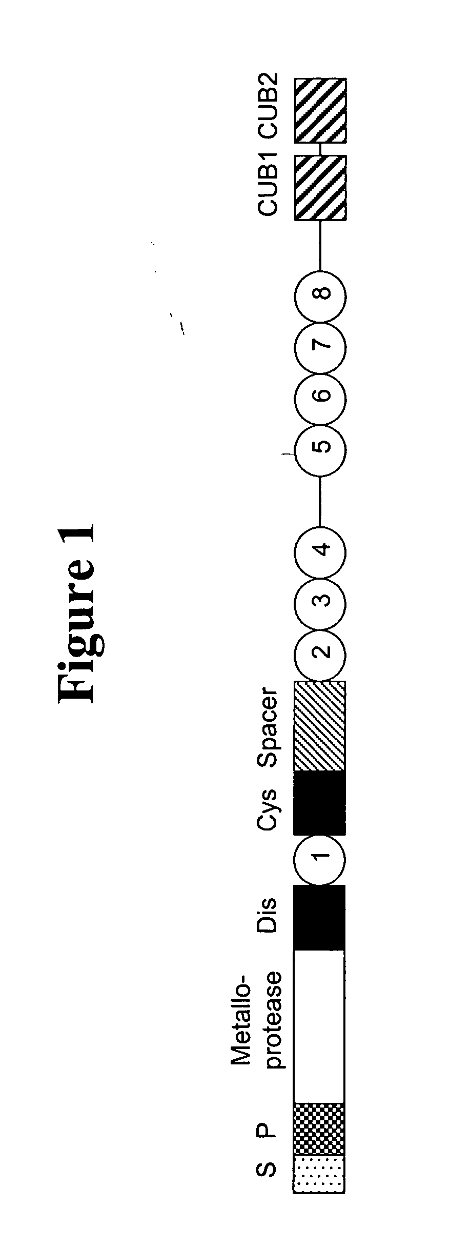 Methods and kits for measuring ADAMTS13/FXI complexes