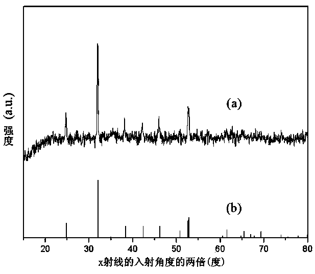 Lithium ion battery cathode material and preparation method thereof