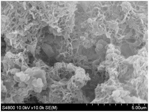 Preparation and application of highly crosslinked imidazole ionic liquid porous organic polymer