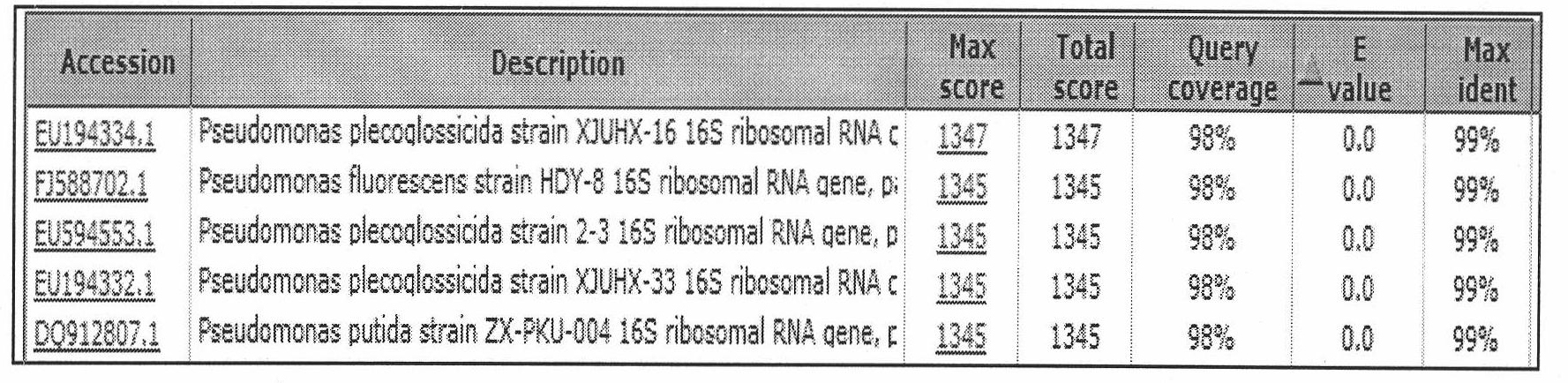 Method for extracting high-efficiency bezafibrate degrading bacteria