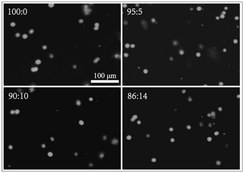 A preparation method of silk fibroin/hyaluronic acid double network hydrogel that can realize three-dimensional loading of cells