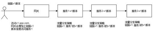 Service multi-version release system and method based on service grid and link version