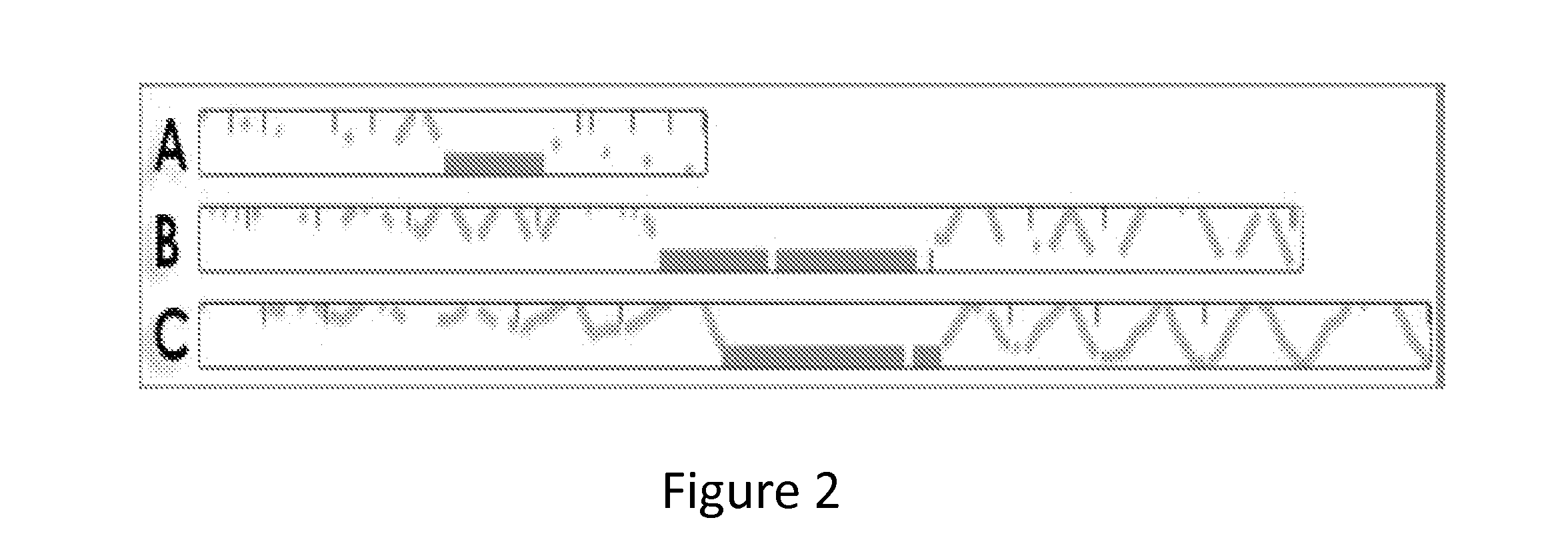 System for Interactively Visualizing and Evaluating User Behavior and Output