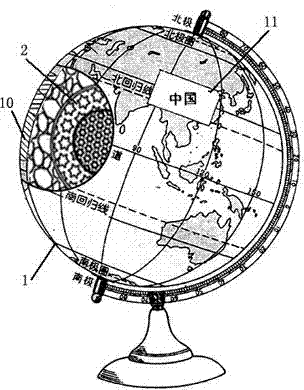 Multifunctional geography teaching device comprising sweet majoram component