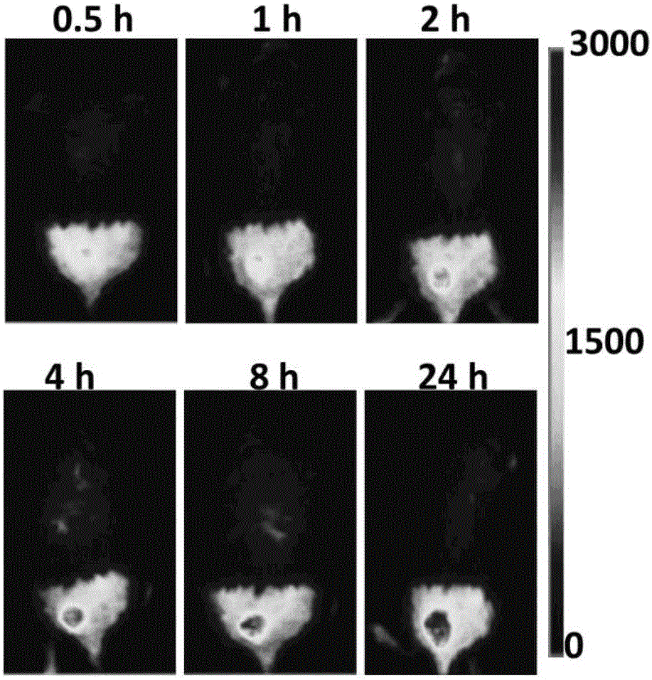 Lipidosome preparation, and preparation method and application thereof