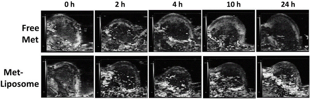 Lipidosome preparation, and preparation method and application thereof