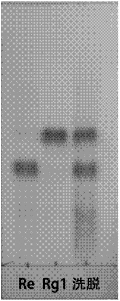 Method for preparing high-activity ginsenoside by solid dynamic fermentation technology