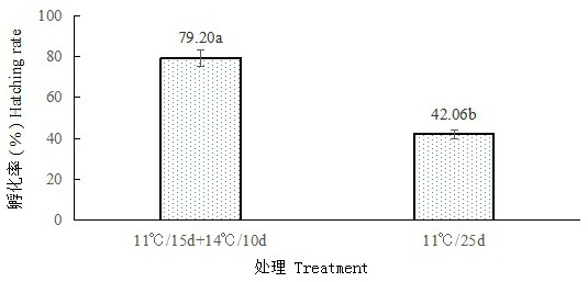 Orius sauteri egg preservation method suitable for large-scale breeding