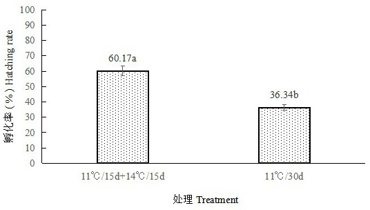 Orius sauteri egg preservation method suitable for large-scale breeding