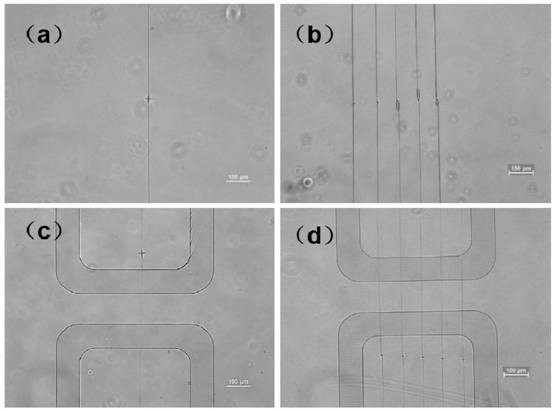 Nanofluidic chip based on nanocracks and processing method thereof