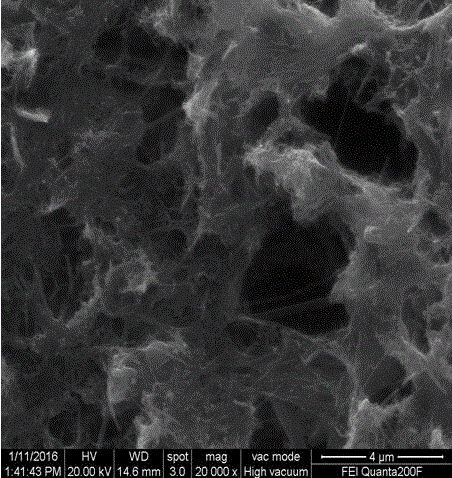 Method for preparing lithium-sulfur battery by taking graphitized carbon nanotube flexible film as current collector of lithium-sulfur battery