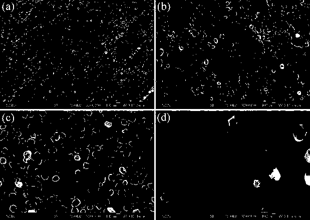 Method for obtaining nano iron plating by direct electroplating