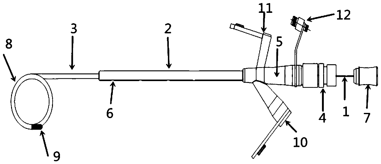 Nasal gastrointestinal tube guided by endoscope