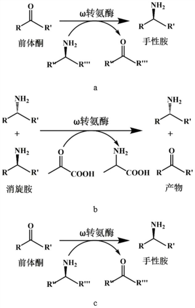 Omega transaminase as well as mutant, recombinant plasmid, genetically engineered bacterium and application thereof