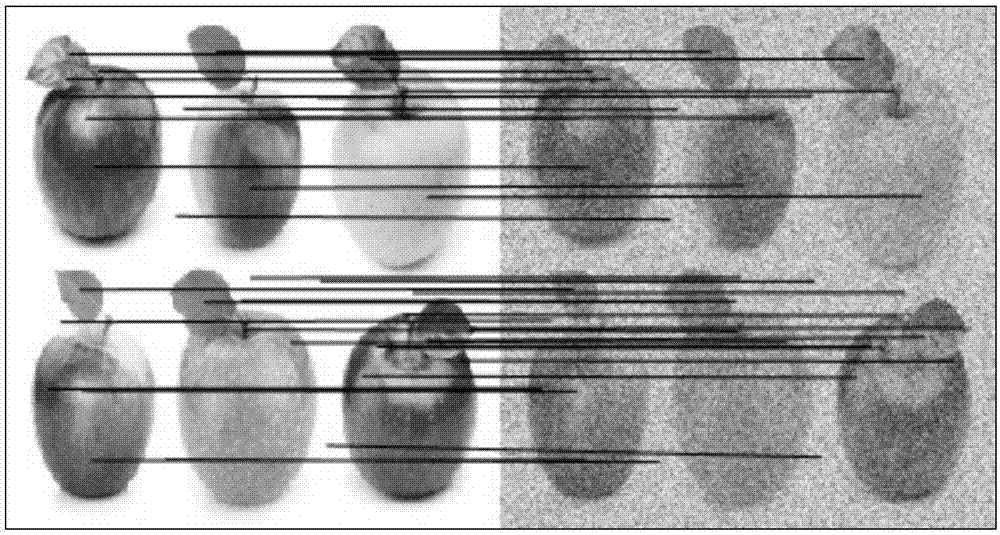 Apple image fusion method based on scale-invariant feature transformation