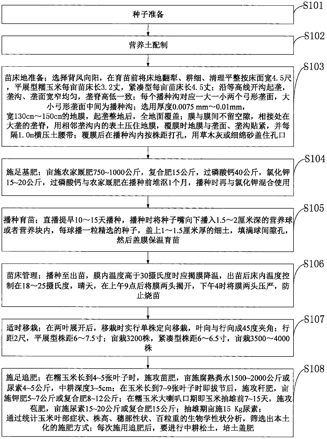 High-yield cultivation method of waxy corn based on transplanting and mulch