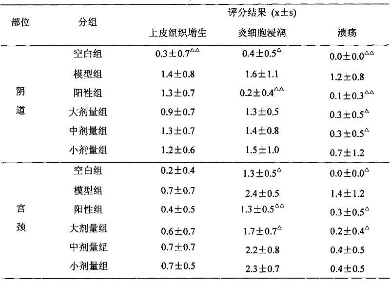 Chinese medicinal composition for treating cervical erosion and preparation method thereof