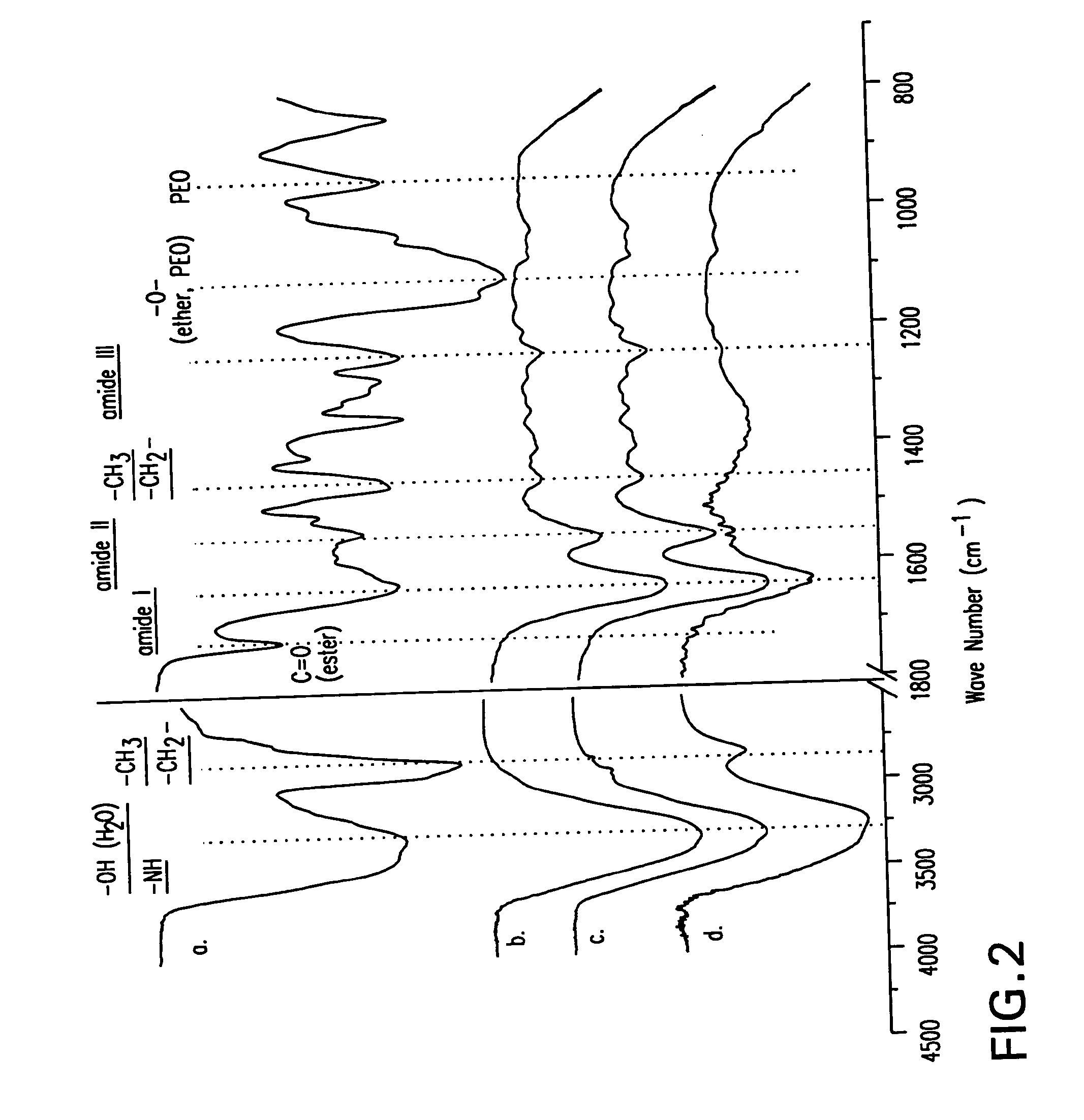 Method and material for enhanced tissue-biomaterial integration