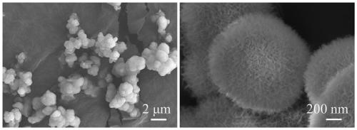 Preparation method of graded mesoporous hydration aluminium oxide microsphere capable of controlling crystal forms