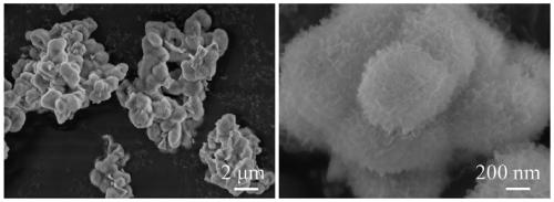 Preparation method of graded mesoporous hydration aluminium oxide microsphere capable of controlling crystal forms