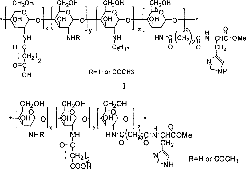 Amphoteric ion-based charge reversal chitosan derivative and application thereof in medicament