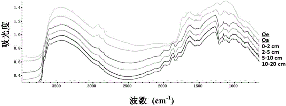 Method for quick detection of stable carbon isotope ratio of soil by means of mid-infrared spectroscopy