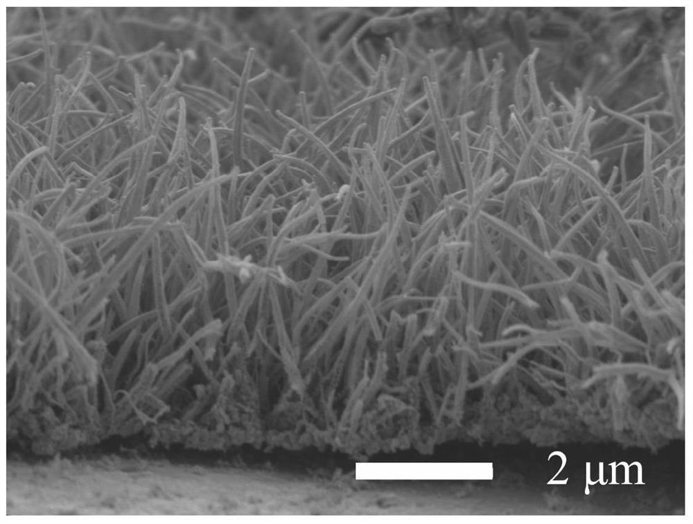 Preparation and Application of Membrane Electrode Based on Platinum or Platinum Alloy Nanotubes