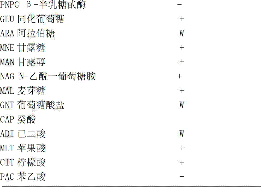 Bacillus methylotrophicus Sanju-04 and its application