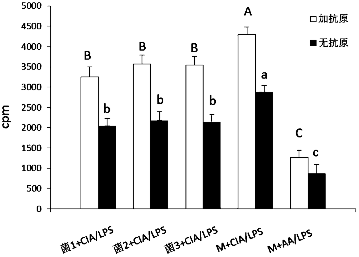 Application of Prevotella minor spotted in the treatment or prevention of rheumatoid arthritis