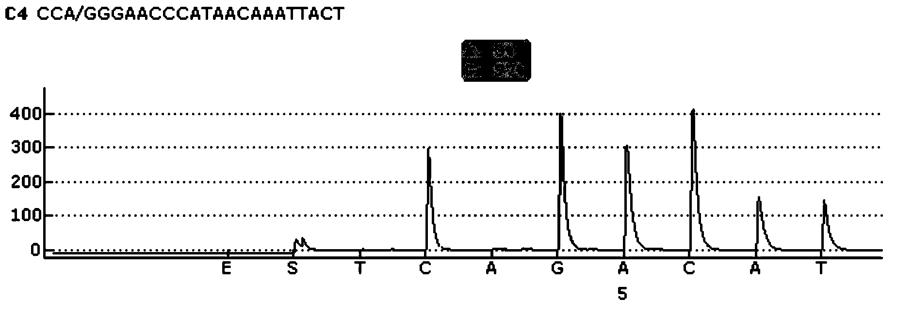 Sequencing primers, kit and detection method for detecting CYP2C19 gene polymorphism