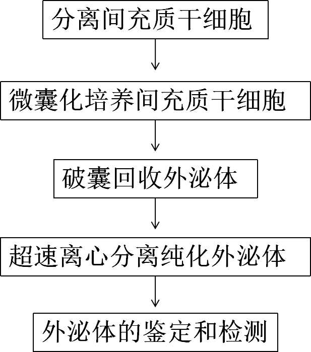 Method for increasing yield of mesenchymal stem cell exosomes, and application of method