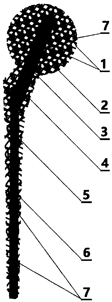 Customization joint bone cement prosthesis reinforcing supporting frame and preparation and application thereof