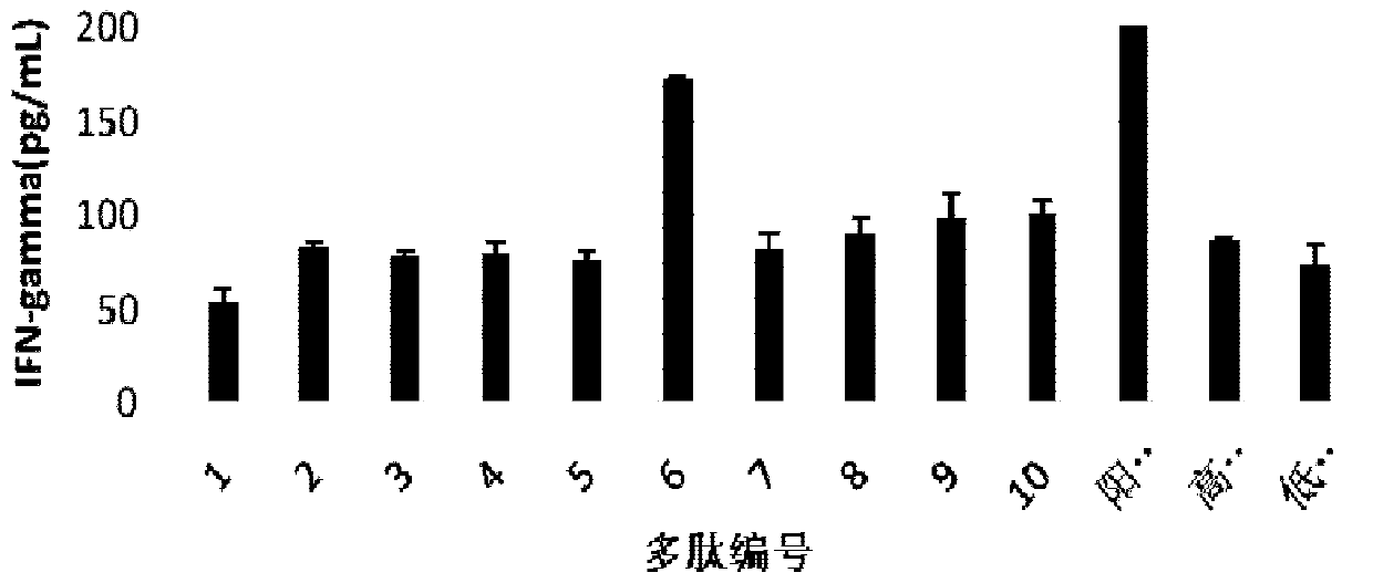 Construction method of AFFT2 cells