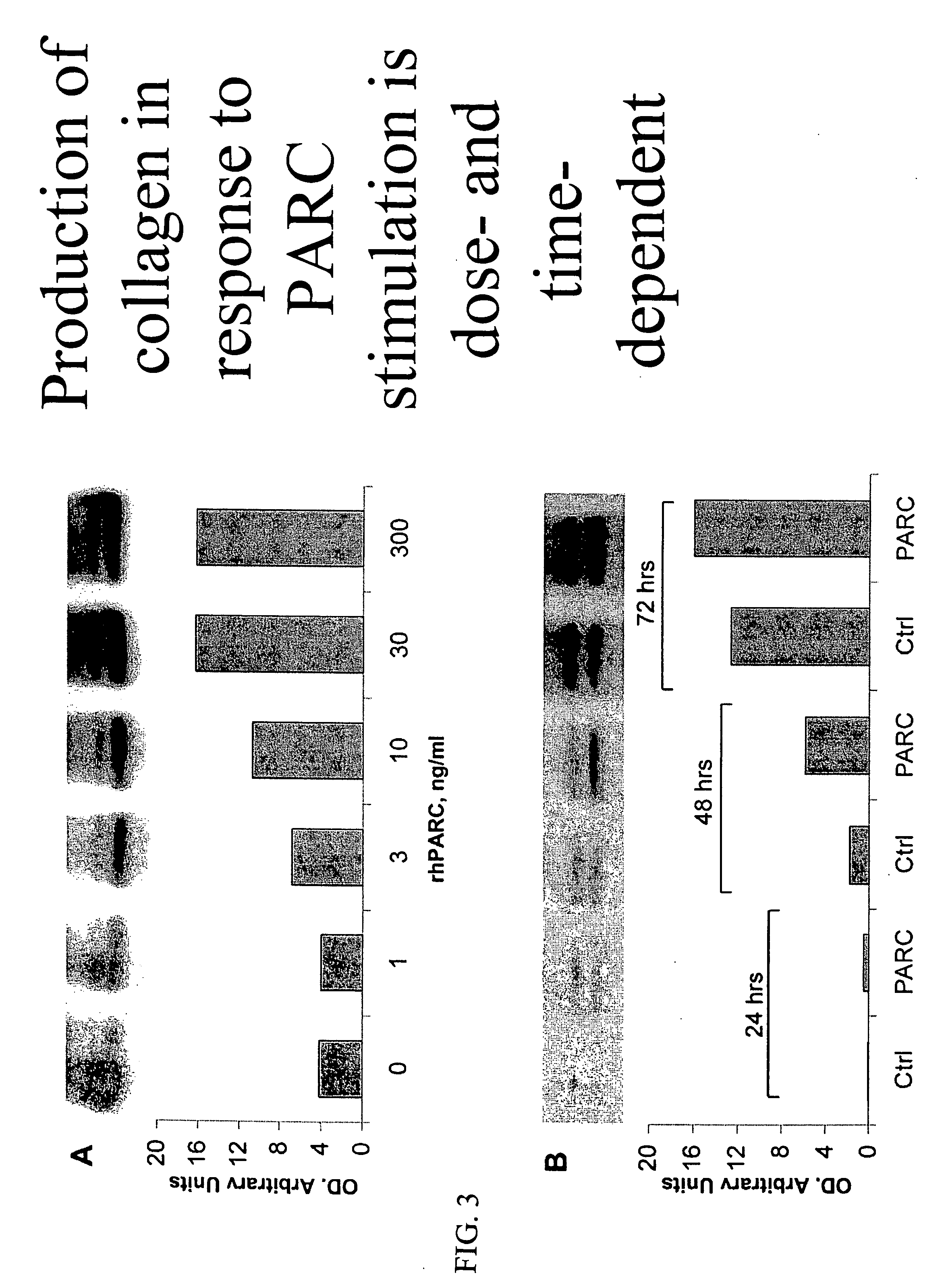 Therapeutic targeting of PARC/CCL18 and its signaling in pulmonary fibrosis